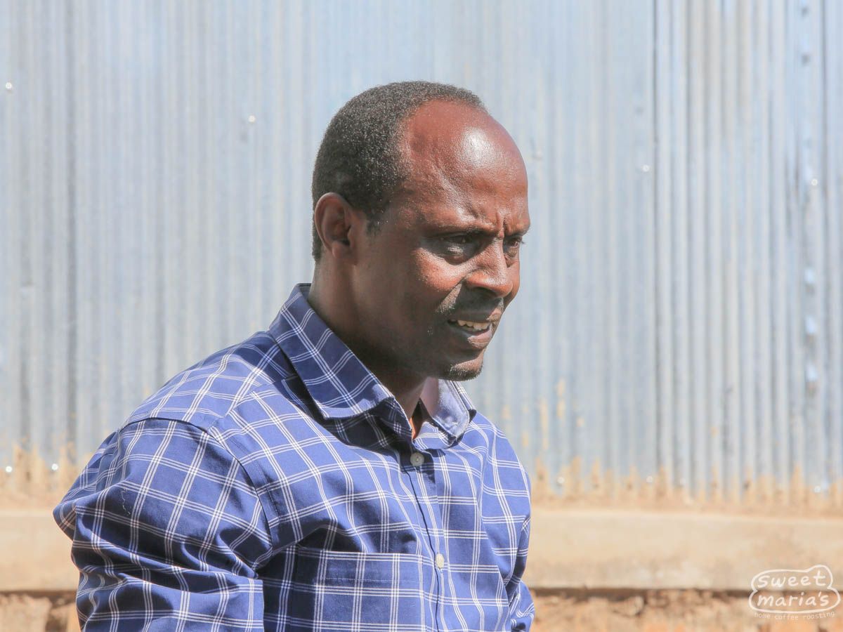 Ethiopia - Dry Process Natural