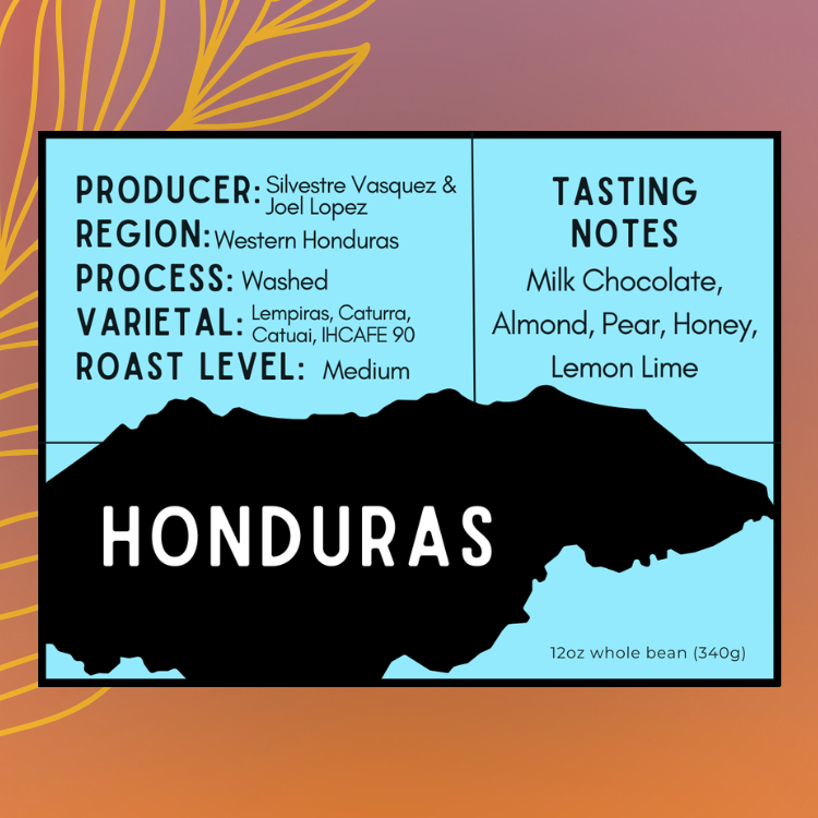Honduras - Washed