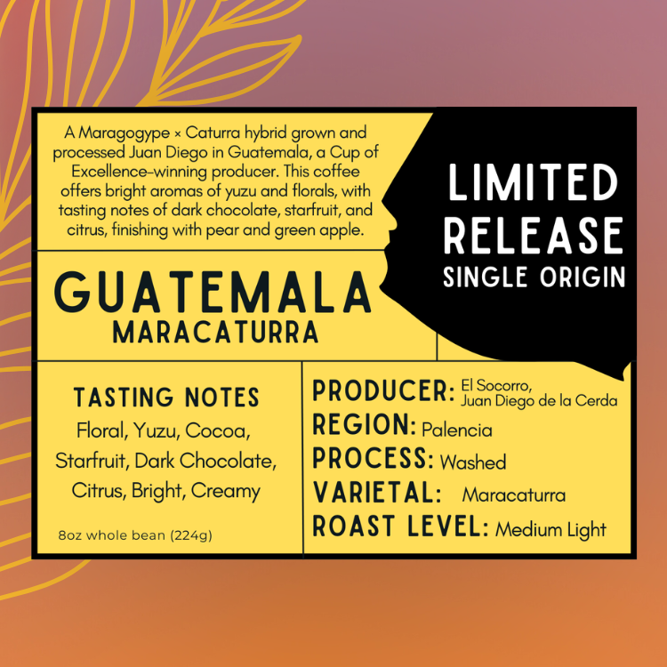 Guatemala - Maracaturra