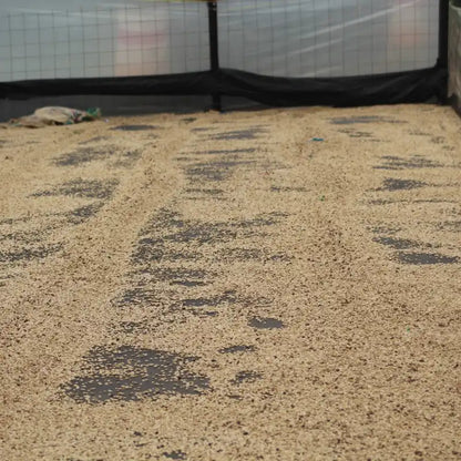 Colombia - Juicy Passion Fruit