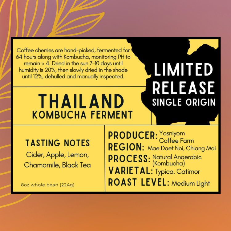 Thailand - Kombucha Ferment