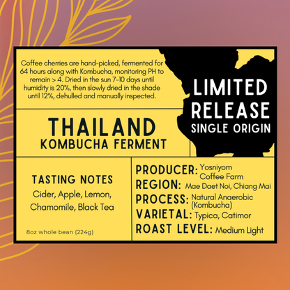 Thailand - Kombucha Ferment