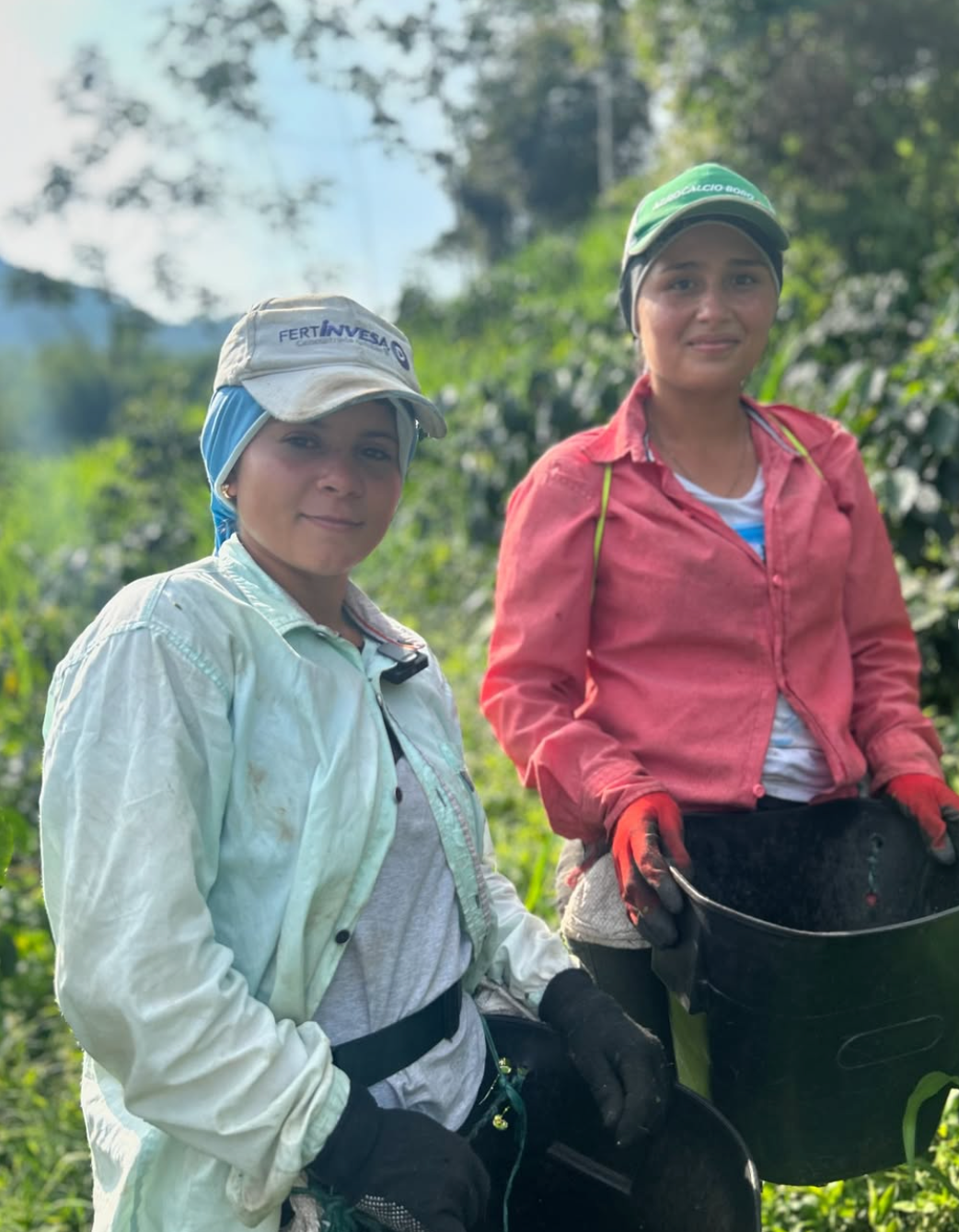 Colombia - Guava Banana - Natural Anaerobic