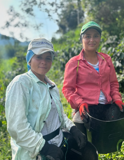 Colombia - Guava Banana - Natural Anaerobic