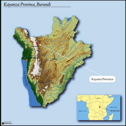 Burundi - Honey Peaberry