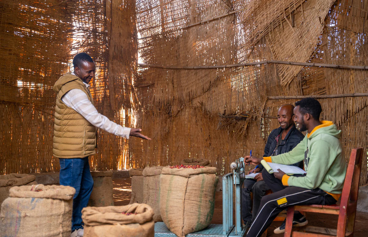 Ethiopia - Sidama Natural