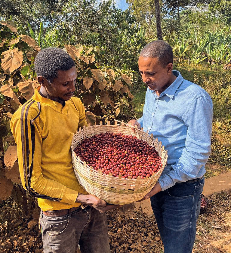 Ethiopia - Sidama Natural