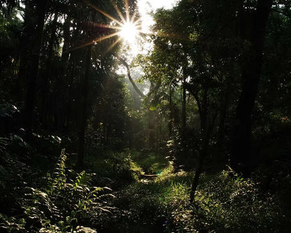 India - Culture-inoculated washed