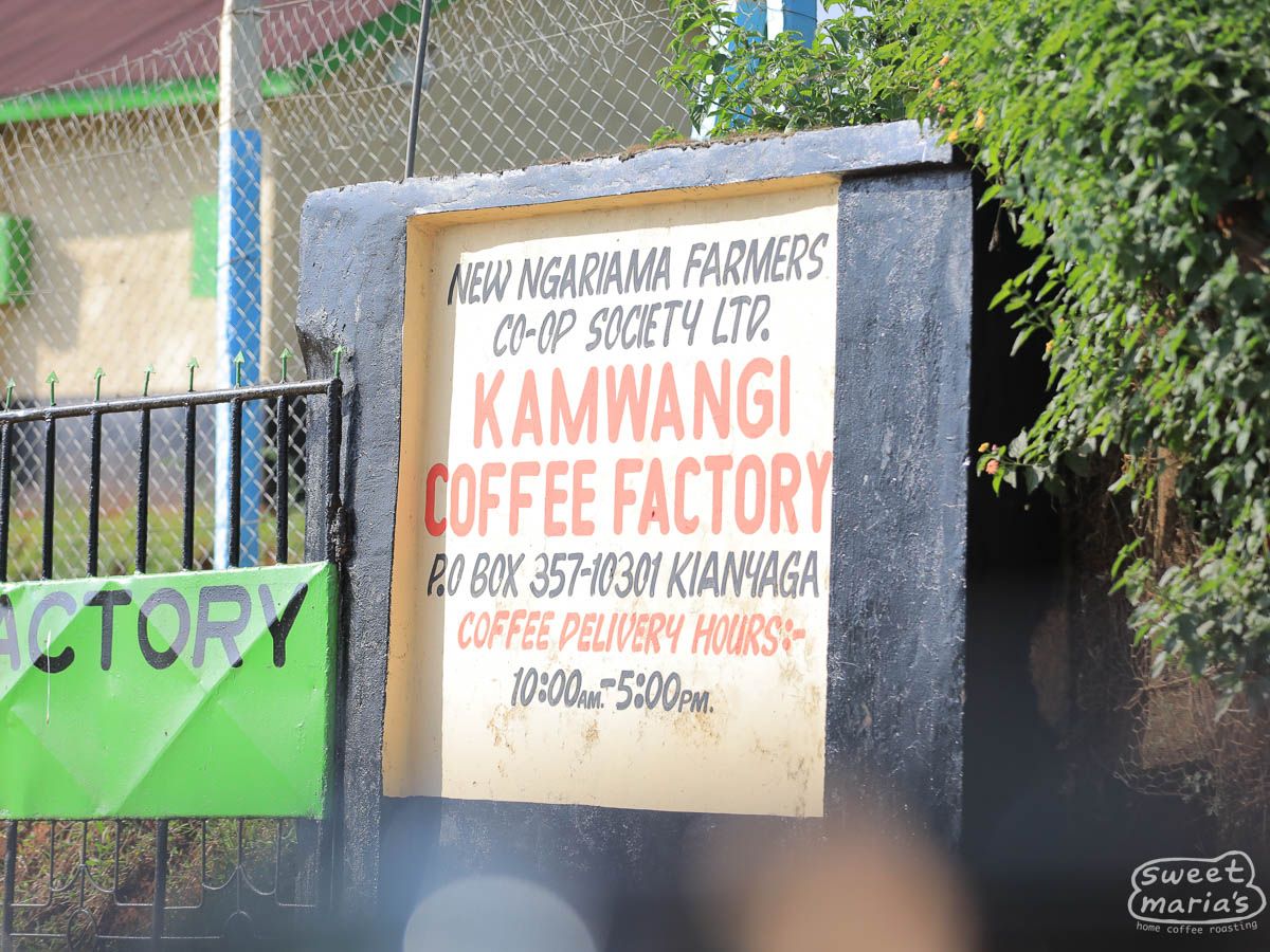 Kenya - Kirinyaga Peaberry