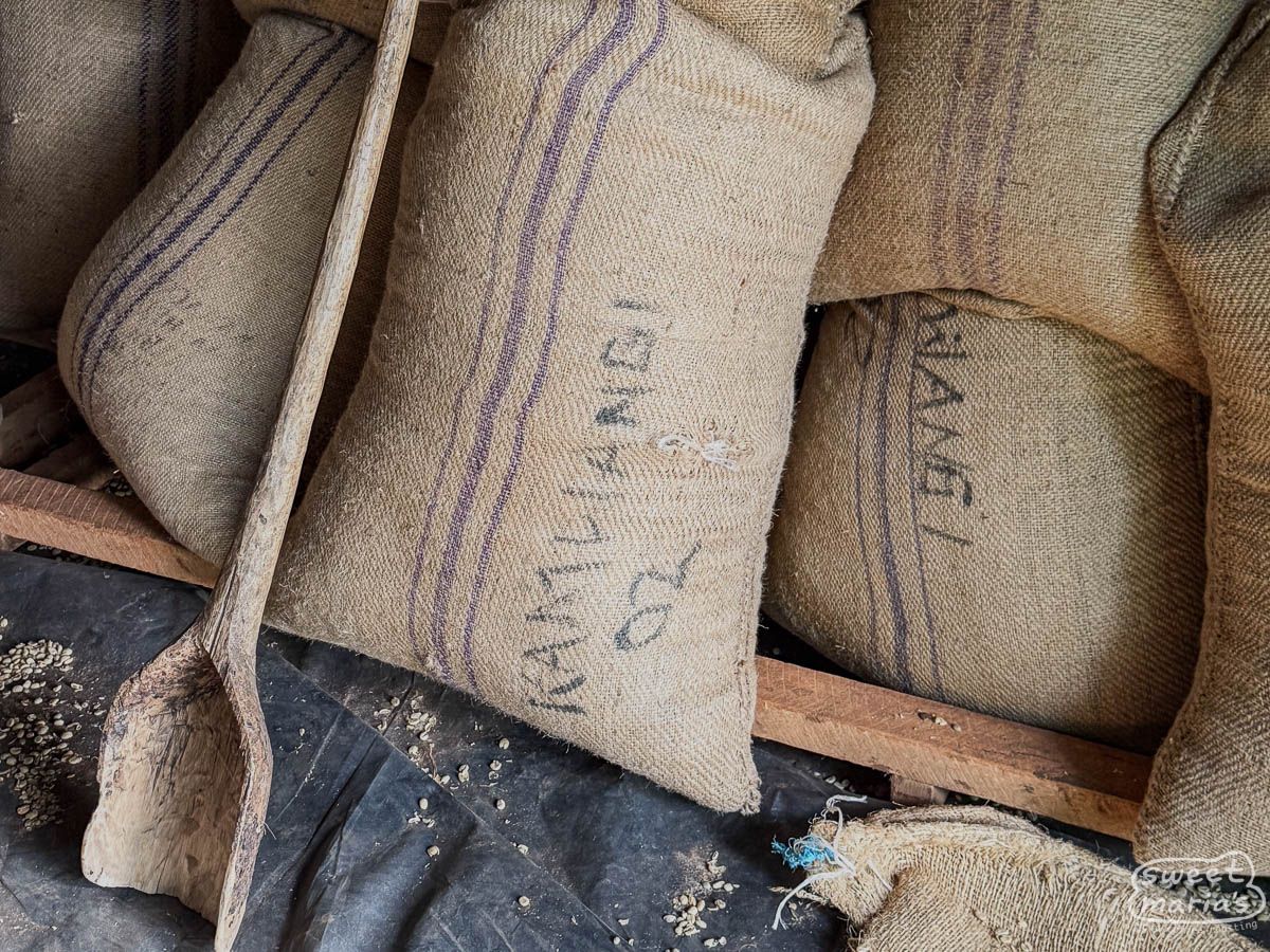 Kenya - Kirinyaga Peaberry