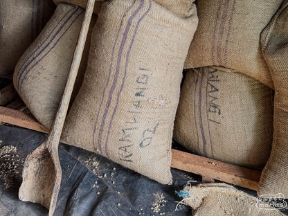 Kenya - Kirinyaga Peaberry