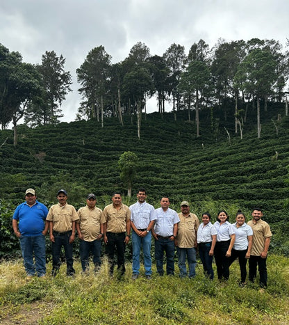 Nicaragua - Anaerobic Geisha