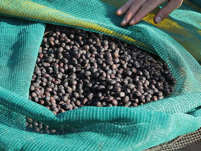 Ethiopia - Dry Process