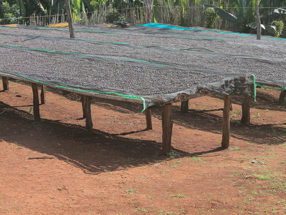 Ethiopia - Dry Process